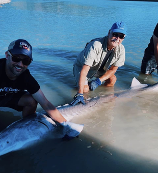 Hooked on Fraser River Giants!